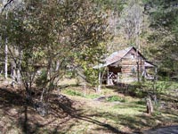 Old Cabin in the Kentucky Hillside